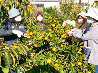 高齢者園芸センターの写真